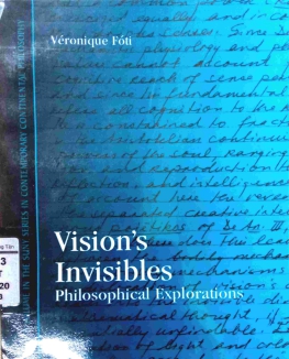 VISION's INVISIBLES