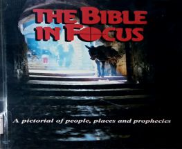 THE BIBLE IN FOCUS