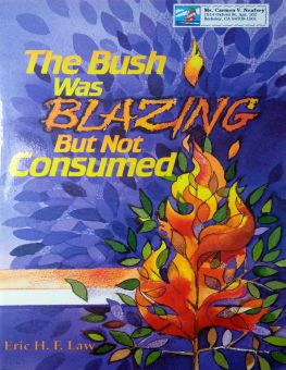 THE BUSH WAS BLAZING BUT NOT CONSUMED